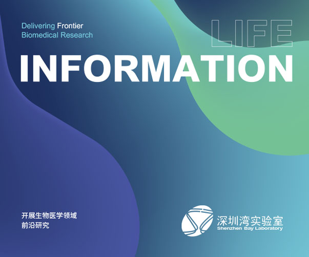 探索創新的水產品包裝設計_美觀與功能的完美結合