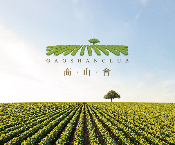 洛陽電商VI設計_品牌形象打造效果明顯