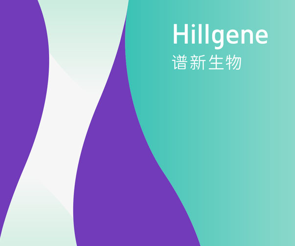 成都品牌VI整體設計_打造獨特視覺形象_提升品牌價值